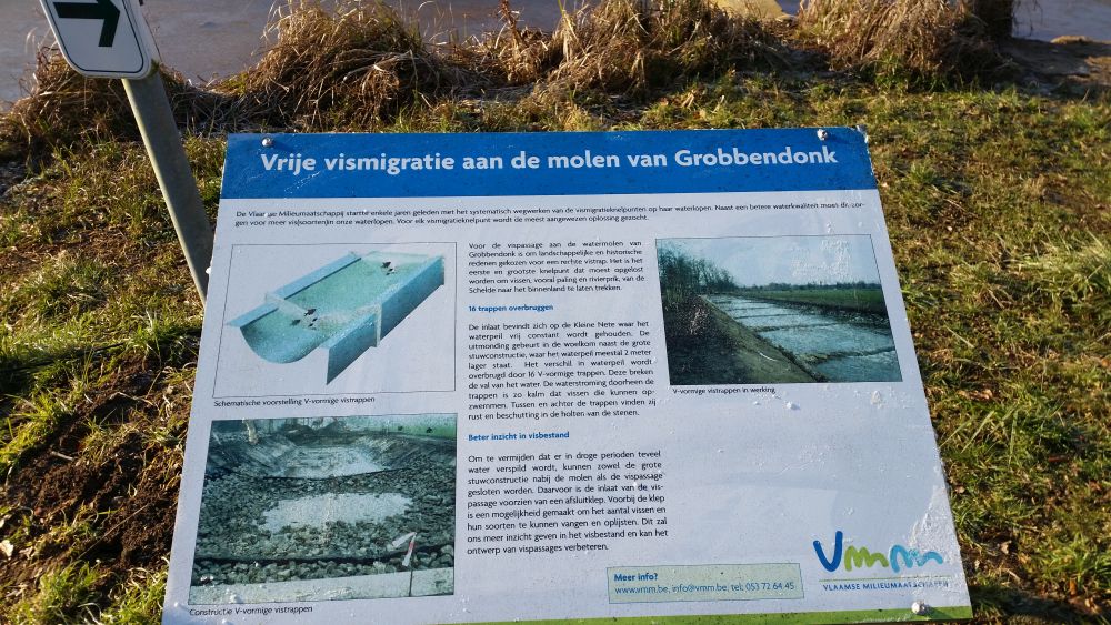 locatie krabbensleuf aan vistrap Grobbendonk