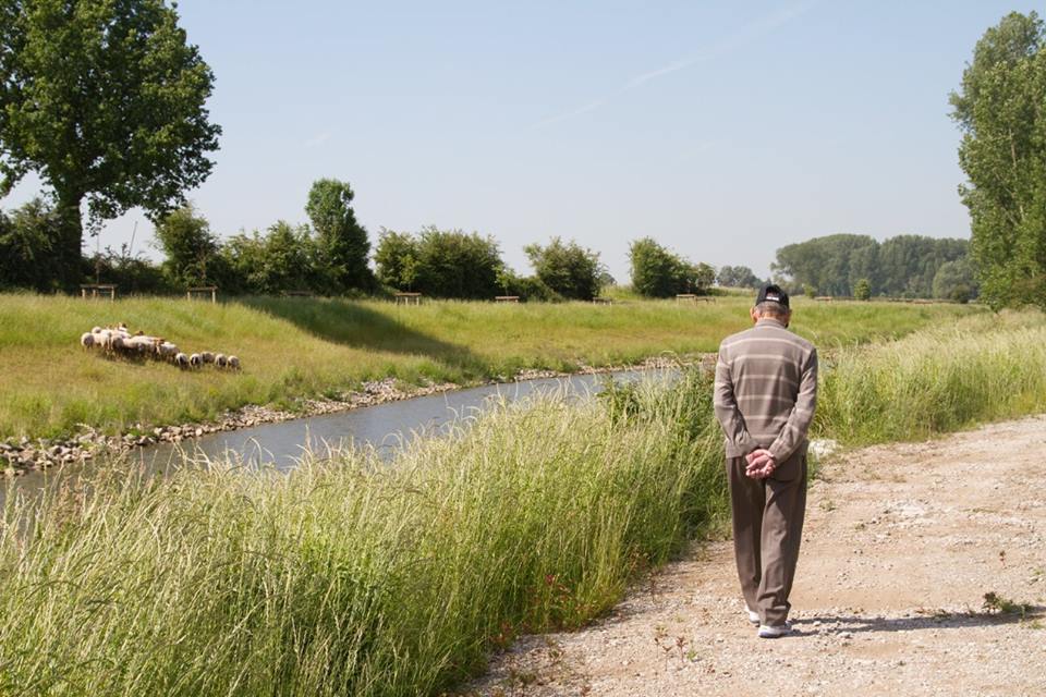 moenebroekbeek3.jpg