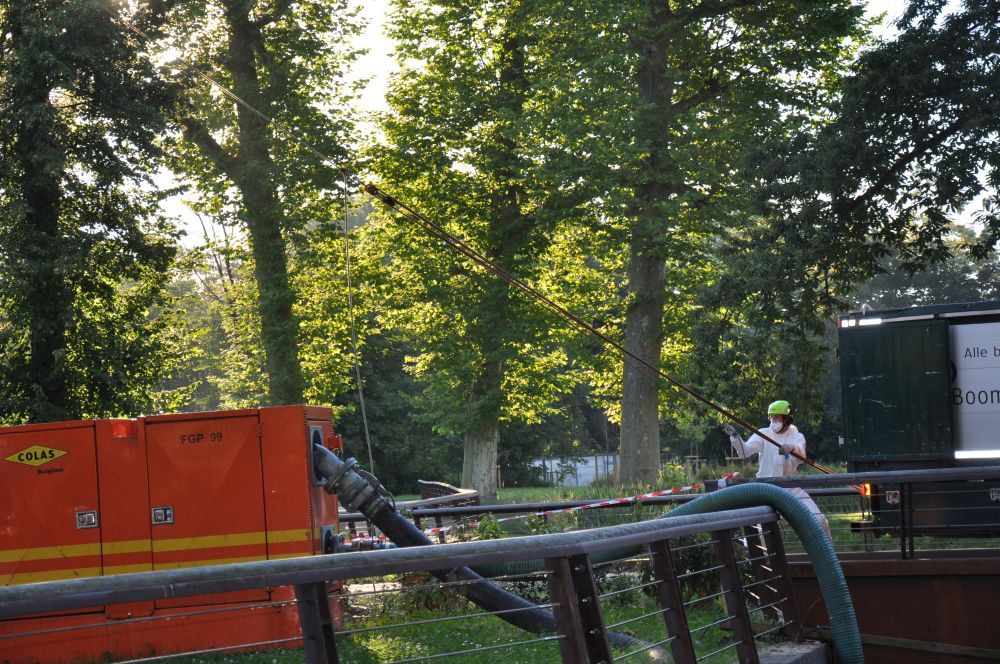 bomen-rooien-diest2.jpg