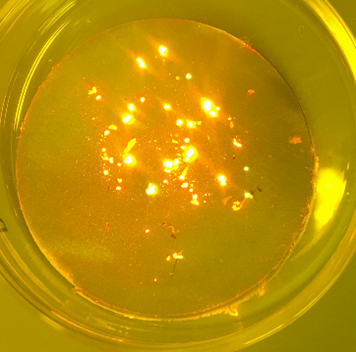 foto analyse microplastics