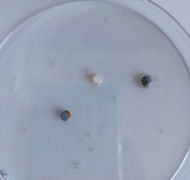 foto nurdles