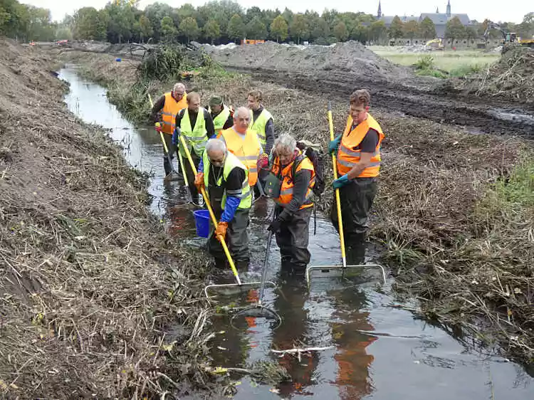 Vissenwerkgroep van LIKONA aan het werk