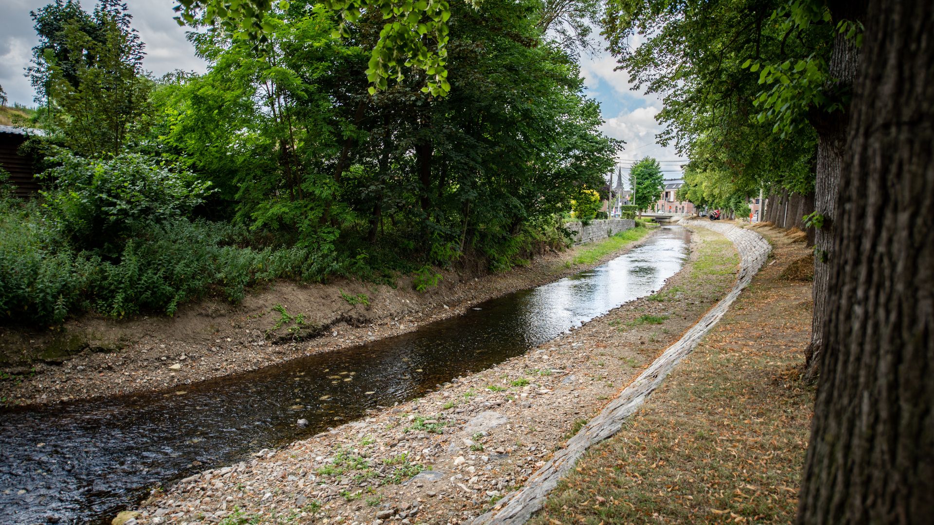 Rivier de Berwijn in Moelingen