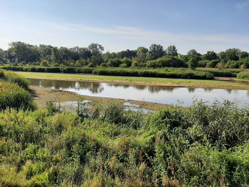 Sedimentvang op de Dijle in Egenhoven