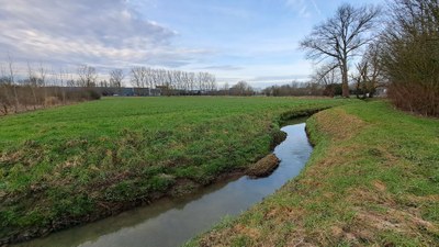 Steenvoordebeek