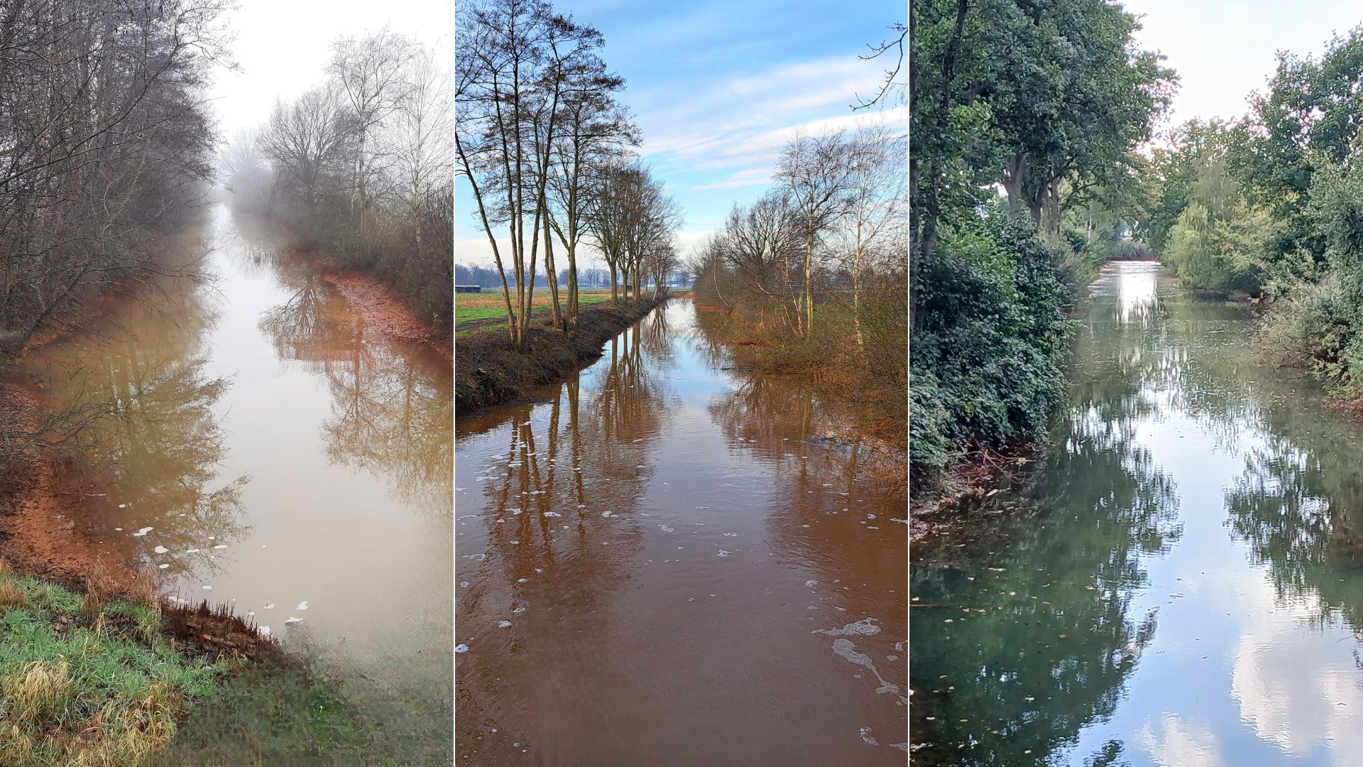 Voor en na van hakhoutbeheer