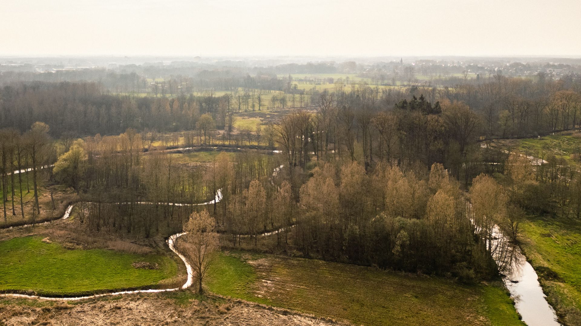 Natuurgebied Graafweide-Schupleer