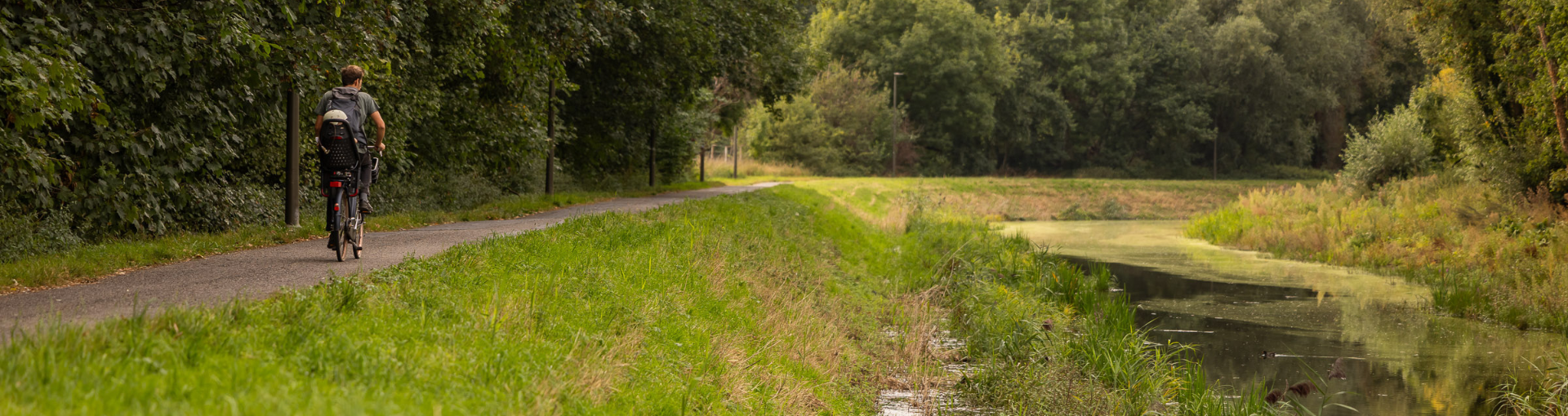 Oeverherstel van de Vrouwvliet