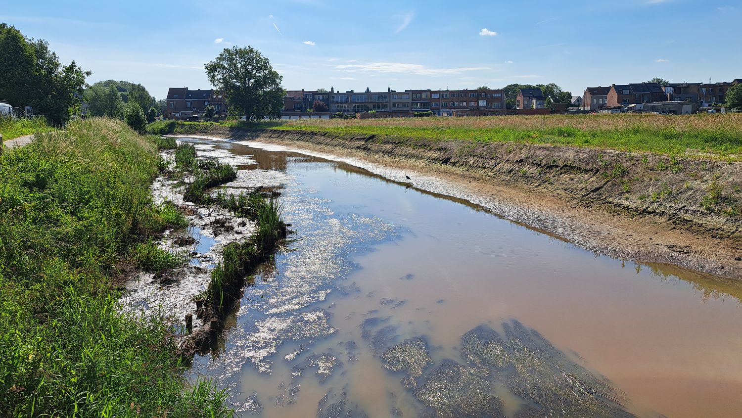 Ecologisch oeversherstel op de Vrouwvliet in Mechelen