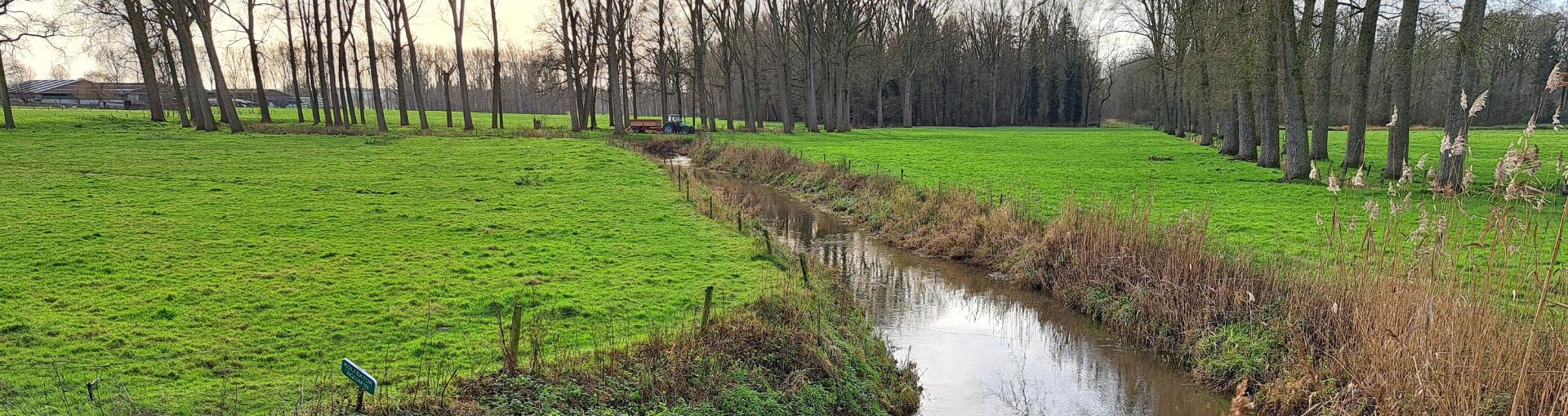 Rivierbeek in de omgeving van Oostkamp