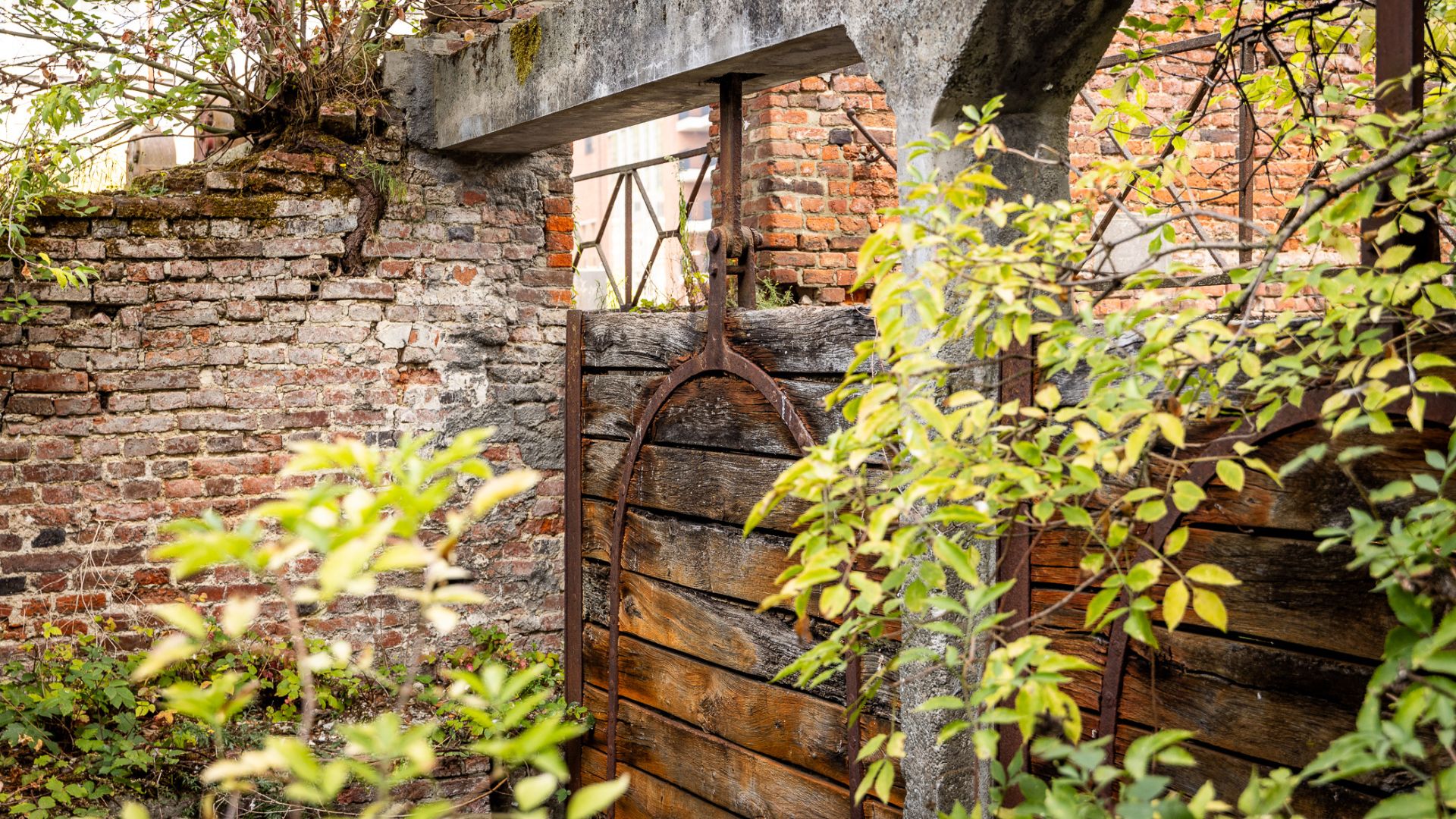 Oude sluizen van de Sluismolen
