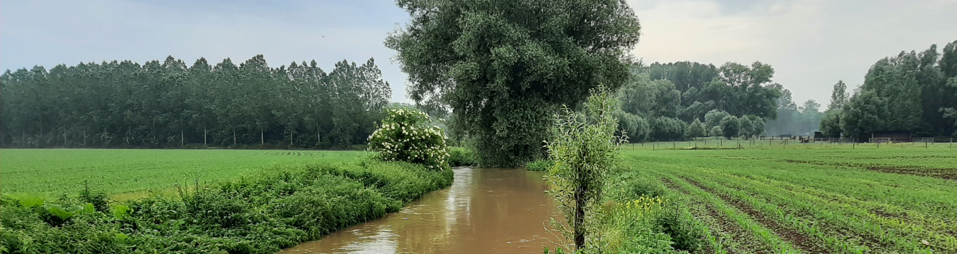 Bellebeek